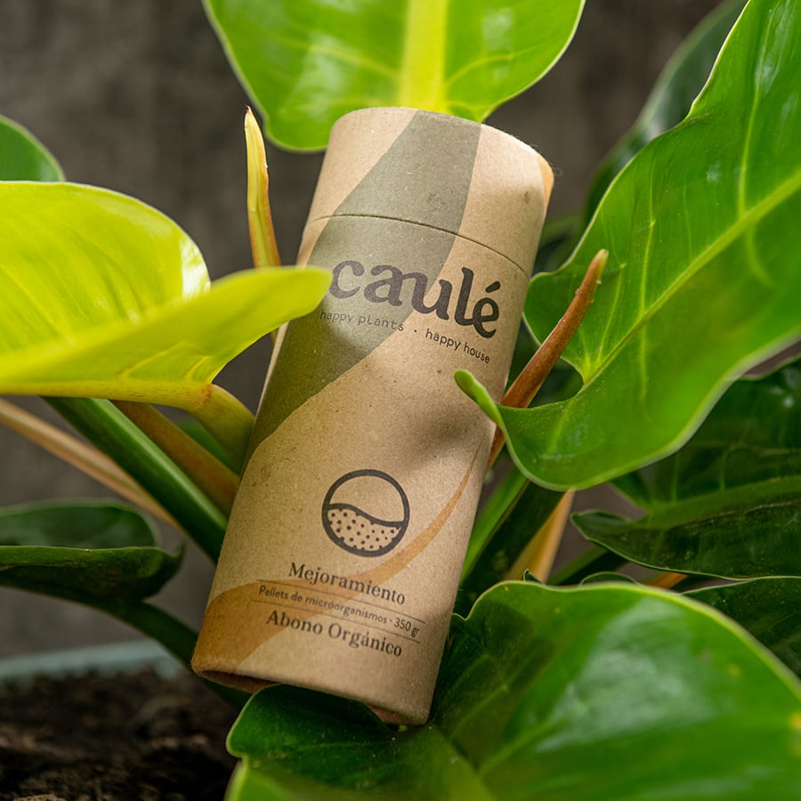 Abono granular "Mejoramiento" - Imagen 3